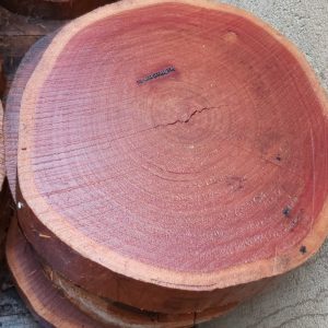 Iron Bark Wood Slice